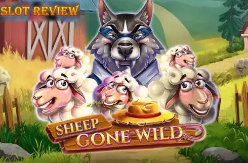 Sheep Gone Wild